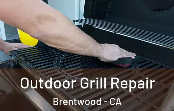  Outdoor Grill Repair Brentwood - CA