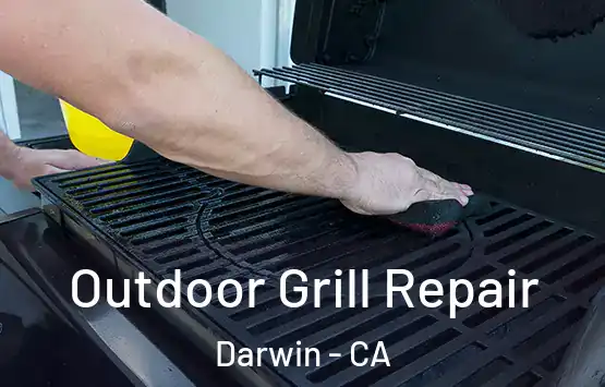 Outdoor Grill Repair Darwin - CA