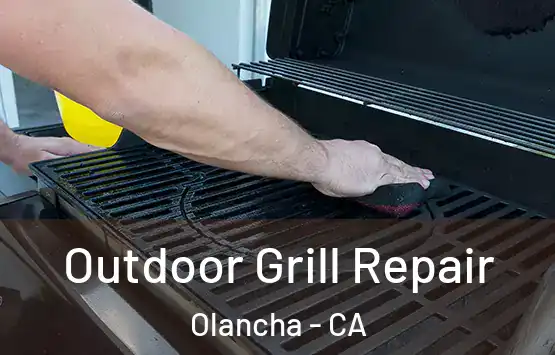  Outdoor Grill Repair Olancha - CA