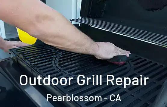  Outdoor Grill Repair Pearblossom - CA