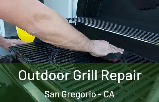  Outdoor Grill Repair San Gregorio - CA