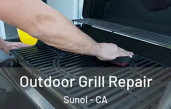  Outdoor Grill Repair Sunol - CA