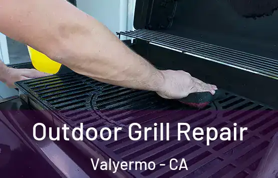  Outdoor Grill Repair Valyermo - CA