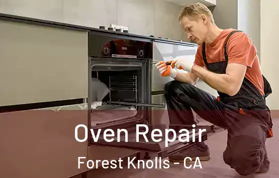  Oven Repair Forest Knolls - CA