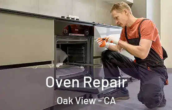 Oven Repair Oak View - CA