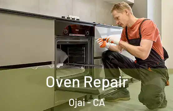  Oven Repair Ojai - CA