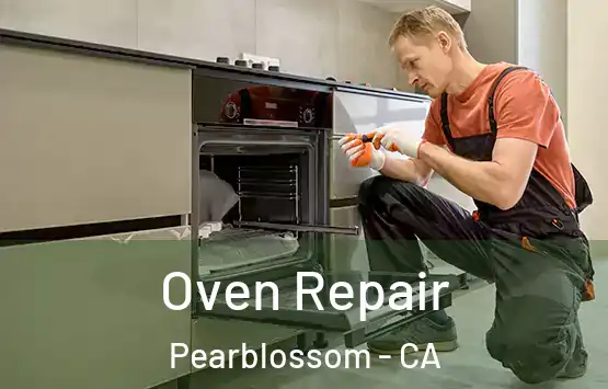  Oven Repair Pearblossom - CA