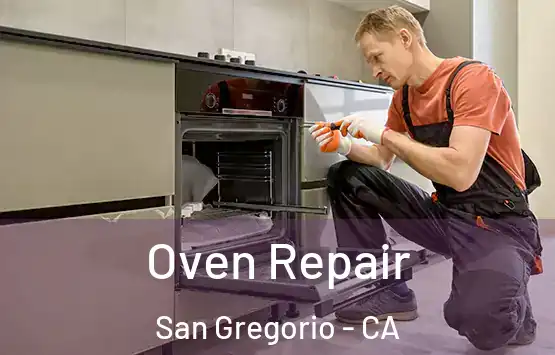  Oven Repair San Gregorio - CA