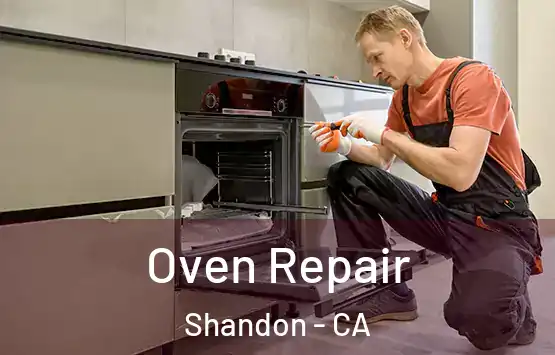  Oven Repair Shandon - CA