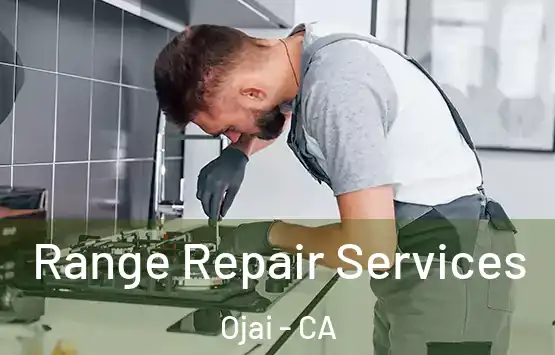  Range Repair Services Ojai - CA