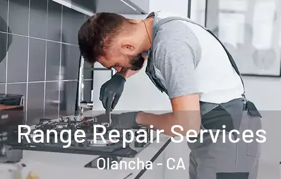  Range Repair Services Olancha - CA