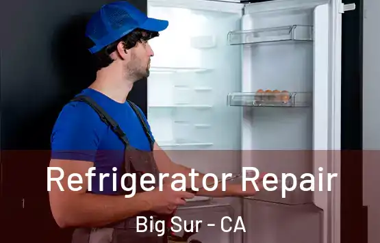  Refrigerator Repair Big Sur - CA