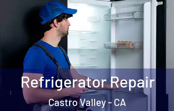  Refrigerator Repair Castro Valley - CA