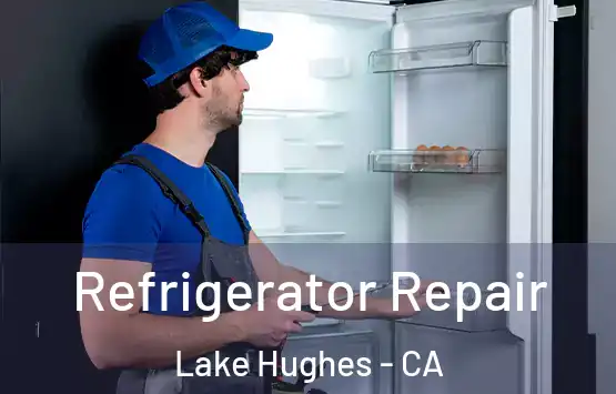  Refrigerator Repair Lake Hughes - CA