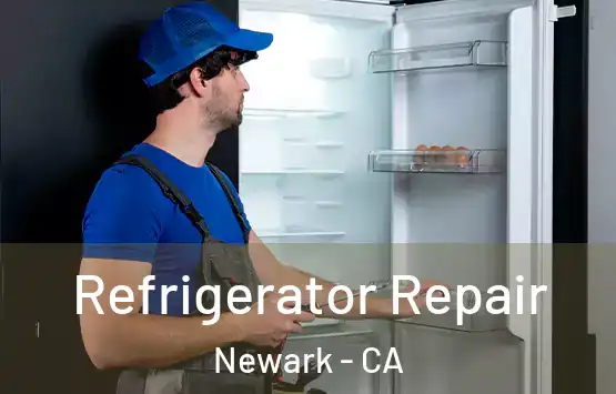  Refrigerator Repair Newark - CA