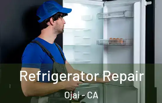  Refrigerator Repair Ojai - CA