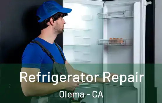  Refrigerator Repair Olema - CA