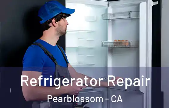  Refrigerator Repair Pearblossom - CA