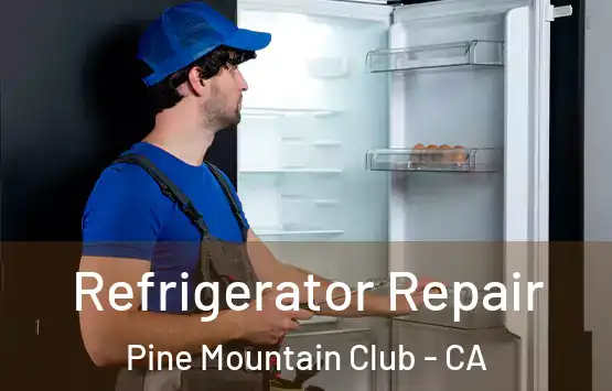  Refrigerator Repair Pine Mountain Club - CA