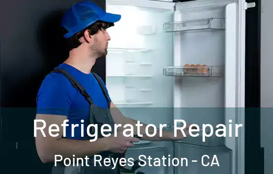  Refrigerator Repair Point Reyes Station - CA