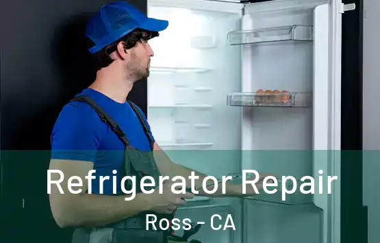  Refrigerator Repair Ross - CA