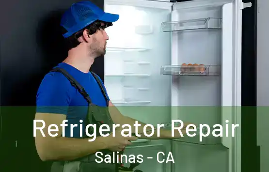  Refrigerator Repair Salinas - CA