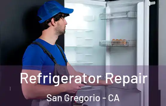  Refrigerator Repair San Gregorio - CA