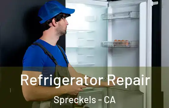  Refrigerator Repair Spreckels - CA