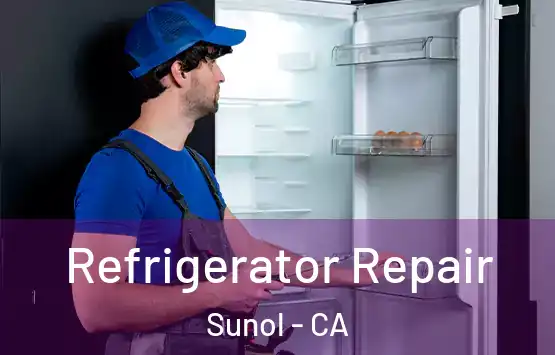  Refrigerator Repair Sunol - CA