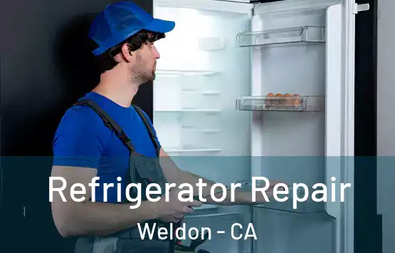  Refrigerator Repair Weldon - CA