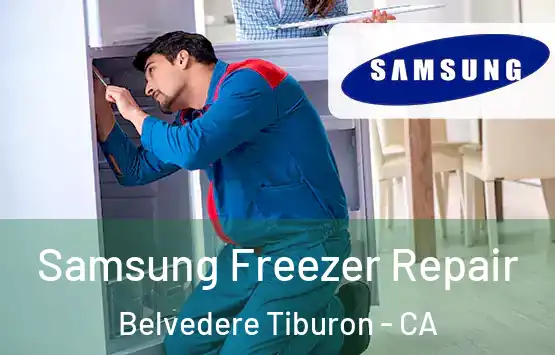  Samsung Freezer Repair Belvedere Tiburon - CA