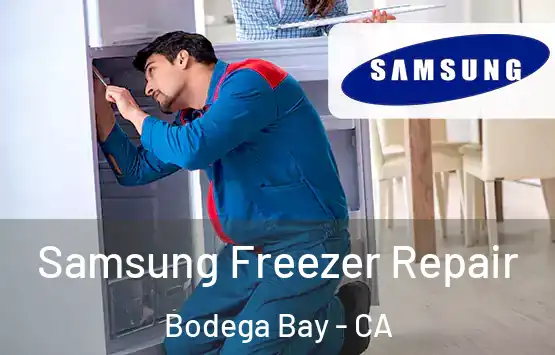  Samsung Freezer Repair Bodega Bay - CA