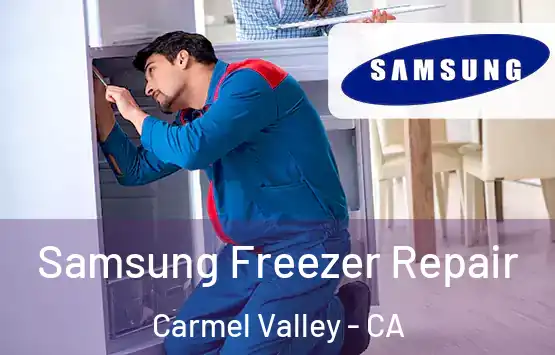  Samsung Freezer Repair Carmel Valley - CA