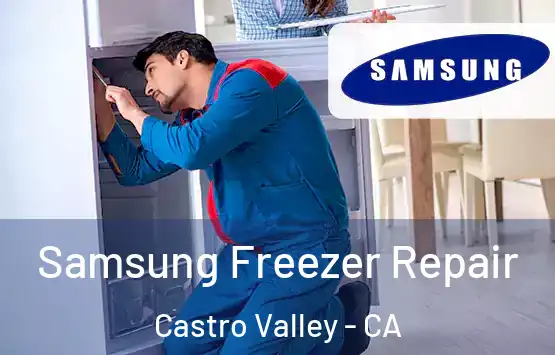  Samsung Freezer Repair Castro Valley - CA