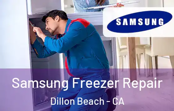  Samsung Freezer Repair Dillon Beach - CA