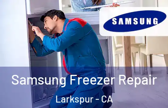  Samsung Freezer Repair Larkspur - CA