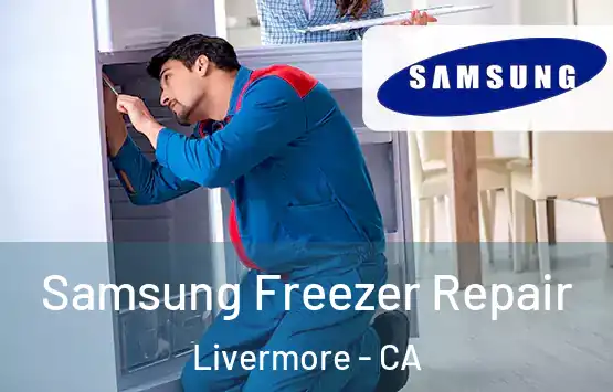  Samsung Freezer Repair Livermore - CA