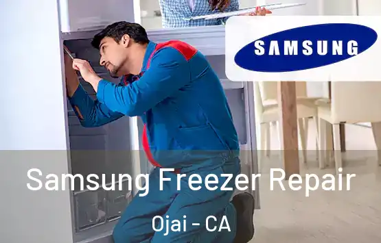  Samsung Freezer Repair Ojai - CA