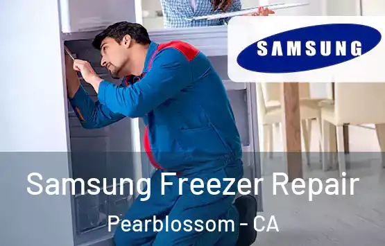  Samsung Freezer Repair Pearblossom - CA