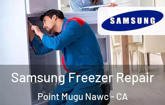  Samsung Freezer Repair Point Mugu Nawc - CA