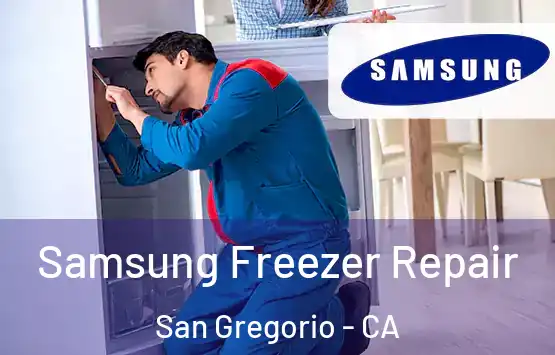  Samsung Freezer Repair San Gregorio - CA