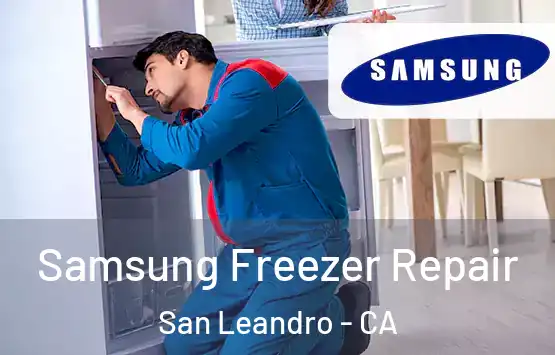 Samsung Freezer Repair San Leandro - CA