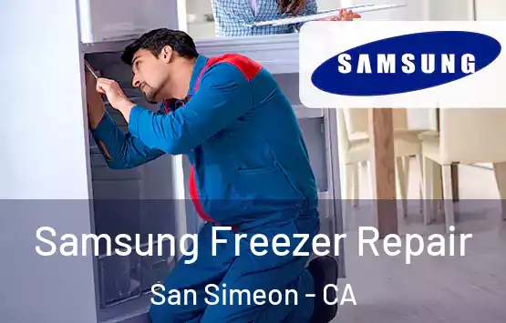  Samsung Freezer Repair San Simeon - CA