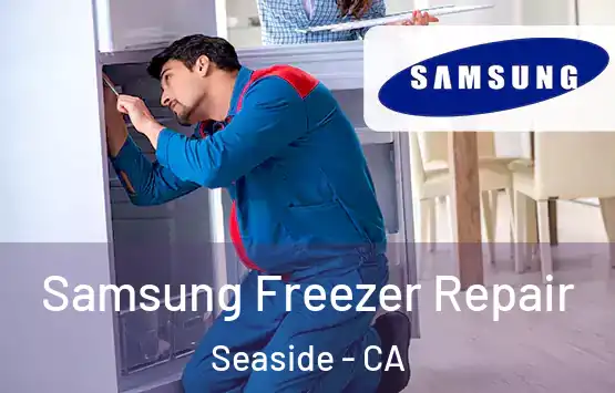 Samsung Freezer Repair Seaside - CA