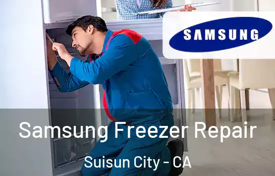  Samsung Freezer Repair Suisun City - CA