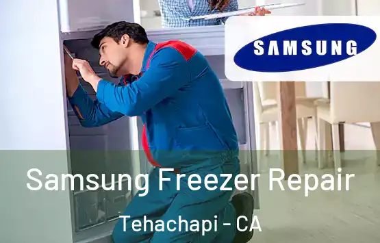  Samsung Freezer Repair Tehachapi - CA