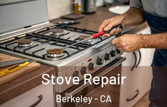  Stove Repair Berkeley - CA