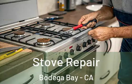  Stove Repair Bodega Bay - CA