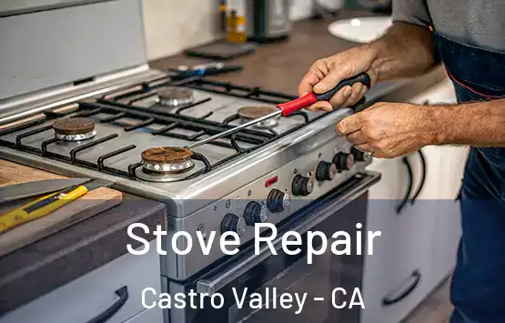  Stove Repair Castro Valley - CA
