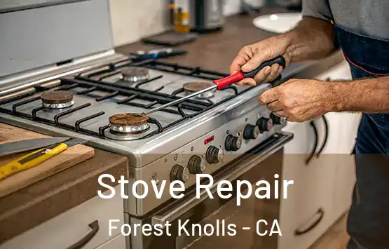  Stove Repair Forest Knolls - CA